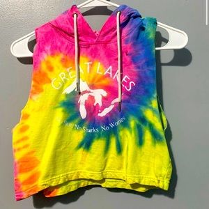 Cropped Michigan Hoodie